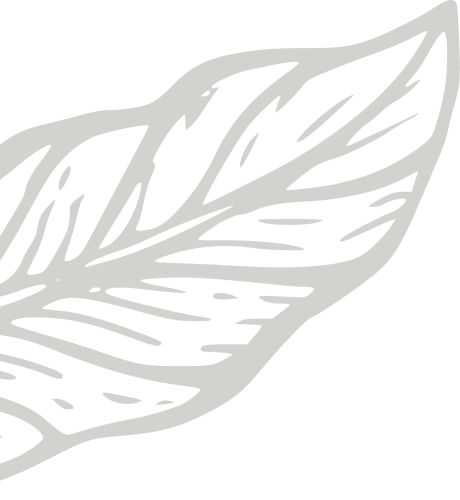 coffee background image