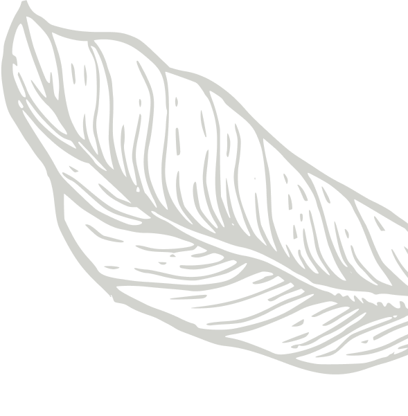 coffee background image