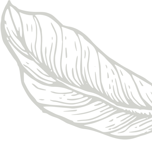 coffee background image